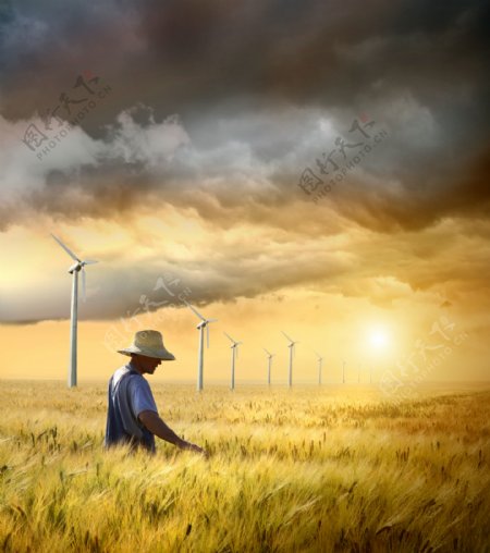 农民白领麦地麦田麦子风车图片