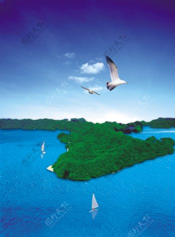 海岛帆船海鸥图片