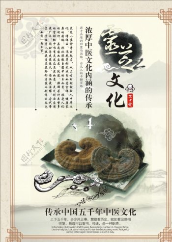 中医药文化展板图片