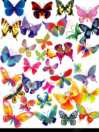 多款漂亮蝴蝶图片