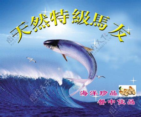 马友鱼海报设计波涛汹涌海浪冷色调海鲜豪放激情翻跃马友鱼鱼图片