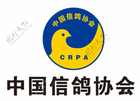 中国信鸽协会图片