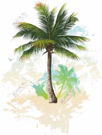 椰子树矢量图片