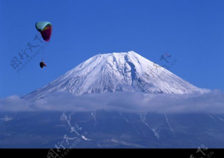樱花与富士山0158