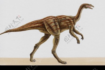 白垩纪恐龙0043