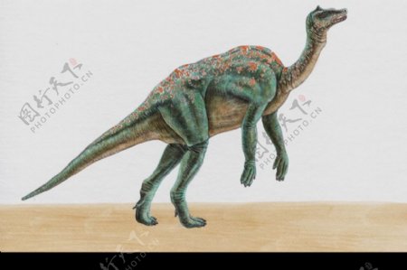 白垩纪恐龙0091