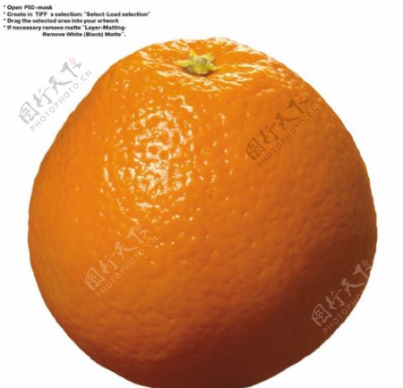 橙子特写0033
