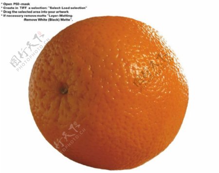 橙子特写0035