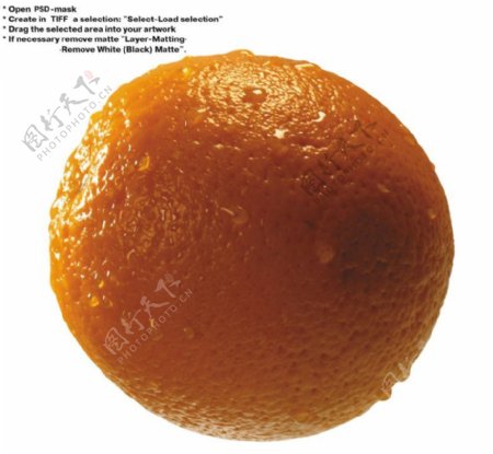 橙子特写0042