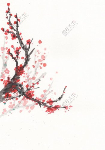 红梅水彩水墨背景素材