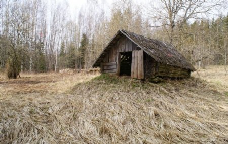 遗弃的小木屋