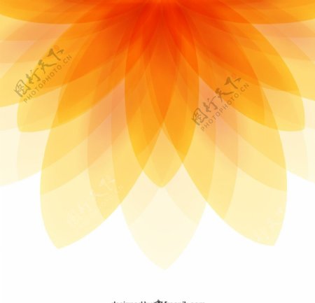 抽象橙色花朵矢量背景