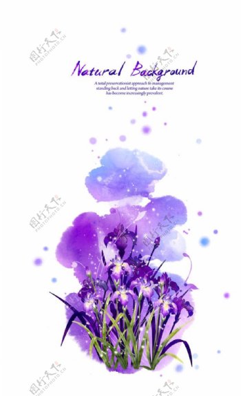 紫色唯美浪漫花朵背景底纹