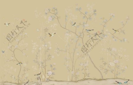 树枝花鸟壁纸