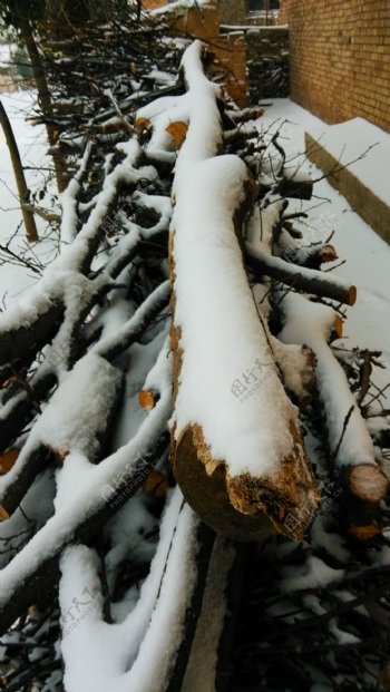 木头的积雪雪特写雪景