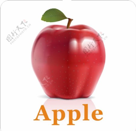卡通水果苹果加英文名称