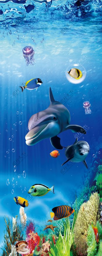 竖版海底世界psd分层海豚