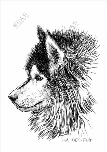 狼头图案下载狗头素材下载