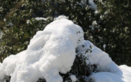 積雪