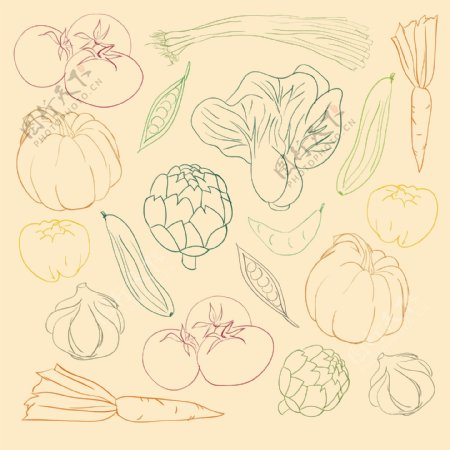 蔬菜颜色涂鸦设计