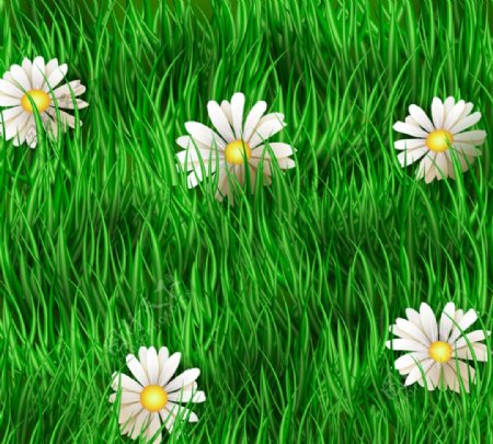 草丛间的白色雏菊花矢量素材