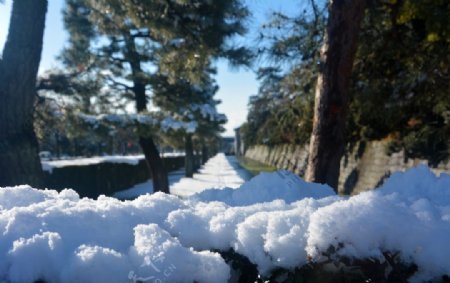 積雪