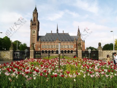 阿姆斯特丹和平宫