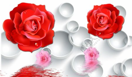 3D倒影玫瑰图片素材分层