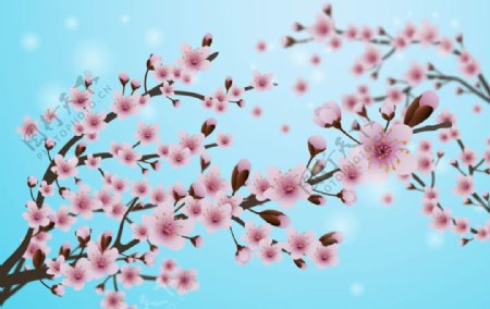 朦胧背景春季樱花海报