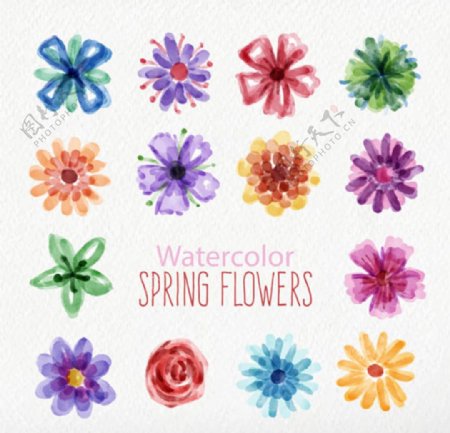 手绘水彩春季花卉花朵