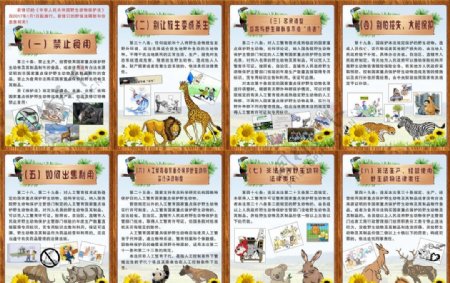 野生动物保护法宣传展架展板
