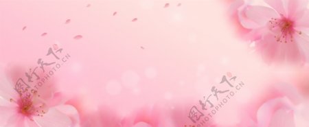 粉红桃花背景素材