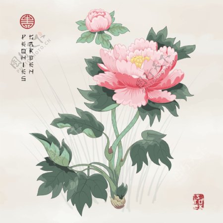 粉色牡丹花中国风图形花纹VI设计