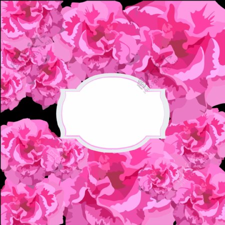 粉红玫瑰花插画边框免抠png透明图层素材