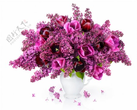 紫丁香花瓶