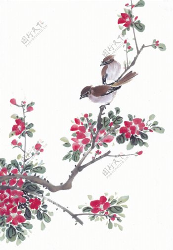 国画树枝与鸟图片