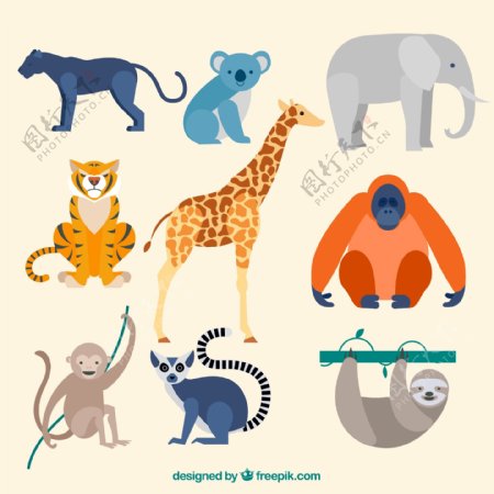 9款卡通野生动物设计矢量素材