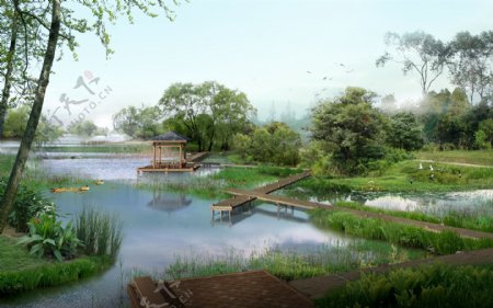 湿地公园景观效果图片