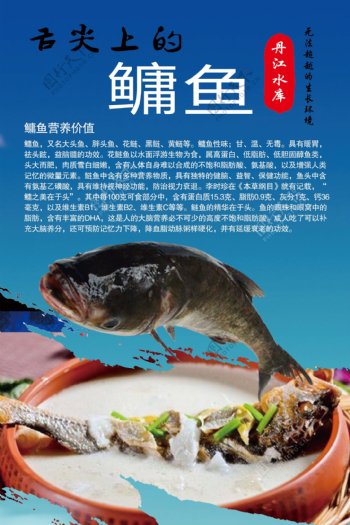 鳙鱼美食海报