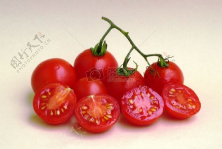 桌子上的小西红柿