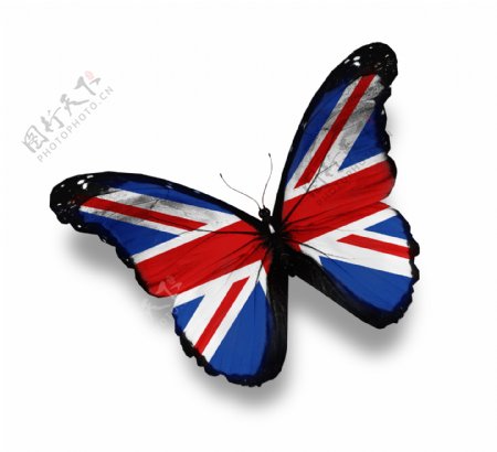 英国国旗蝴蝶图片