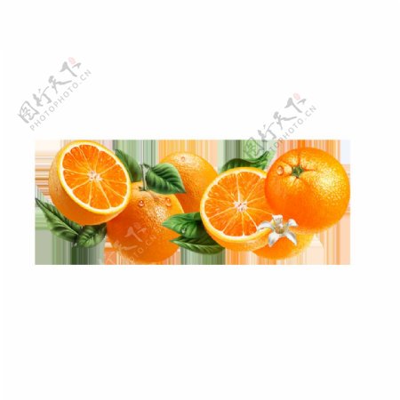 新鲜橙子元素
