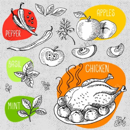 火鸡蔬菜素描插画图片