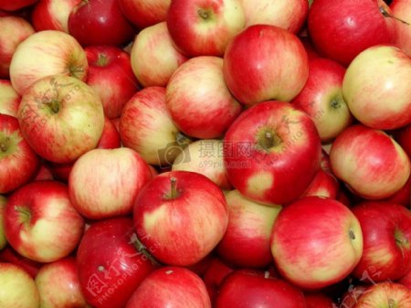 一堆红色的苹果