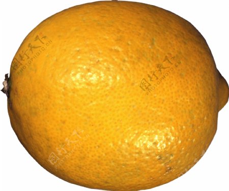 橙色柠檬特写图片