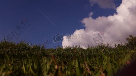 风景自然云摄影草洪都拉斯