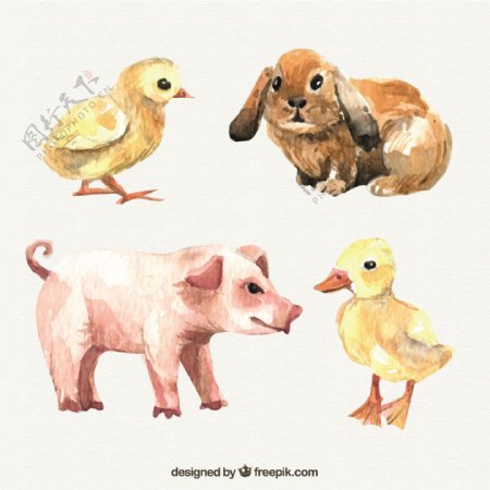 水彩画的农场动物