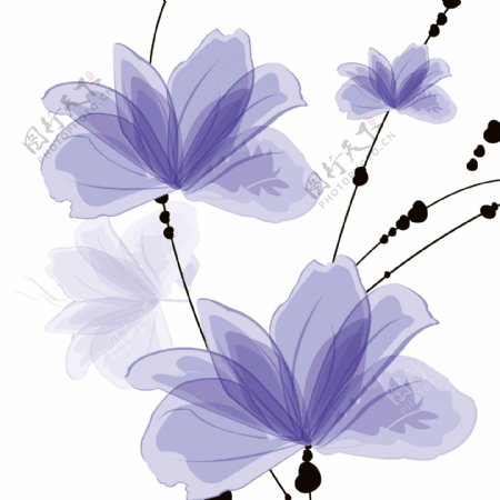黑色线条与紫色花朵图案无框画图片