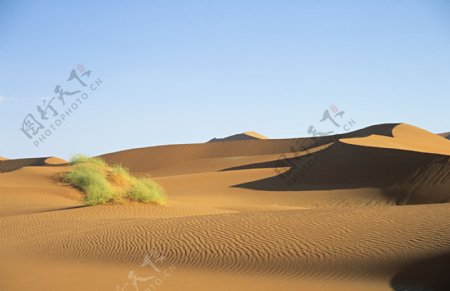 蓝天下的大沙漠风光图片