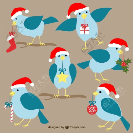 圣诞节鸟类漫画